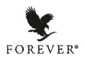 06_forever